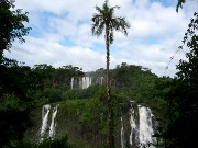 559  Iguacu Falls.JPG